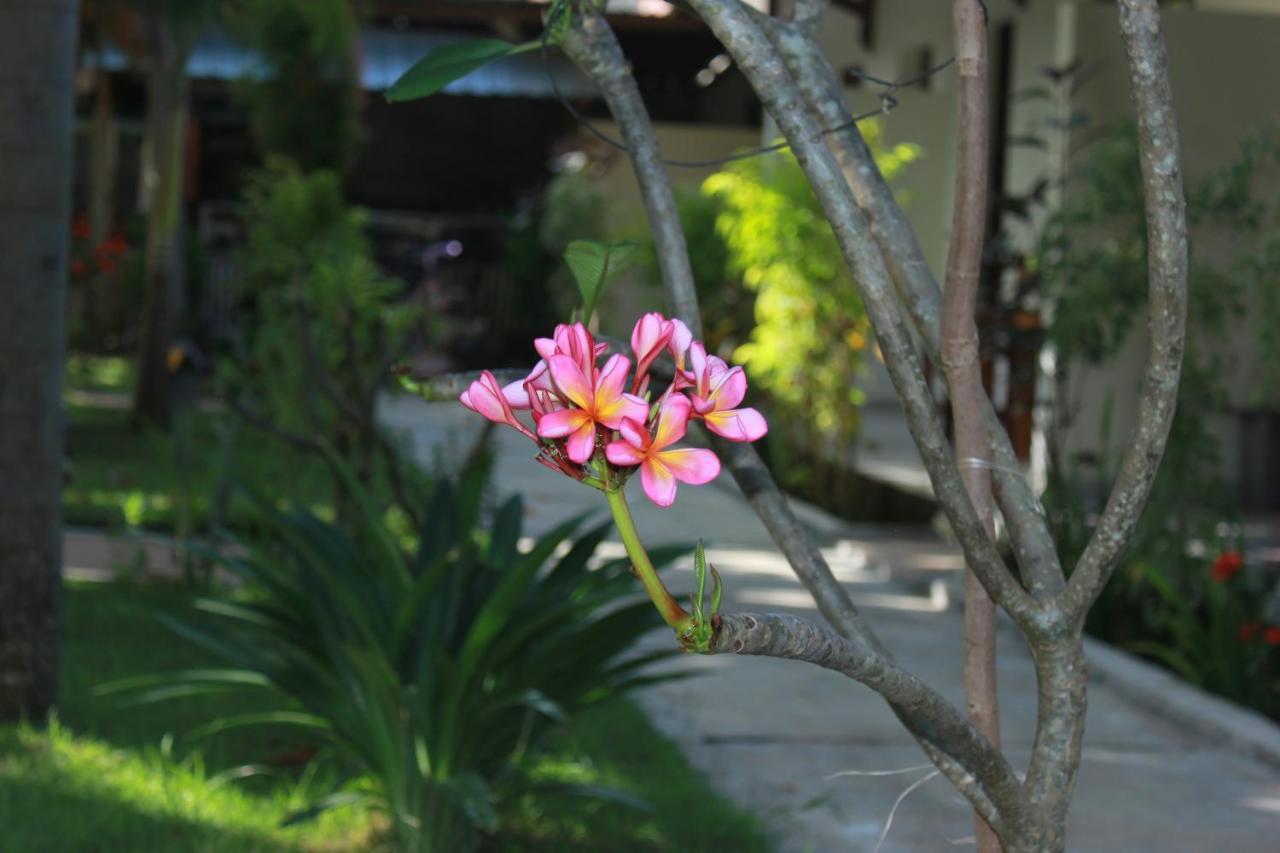 Herry Homestay Kuta  Buitenkant foto