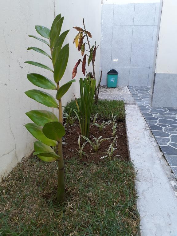 Herry Homestay Kuta  Buitenkant foto